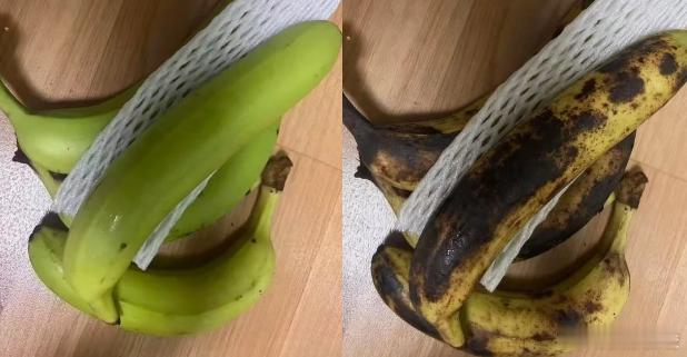 AI生图越来越逼真是好事吗 现在AI造假图越来越真，眼见不一定为实啦，网购、日常