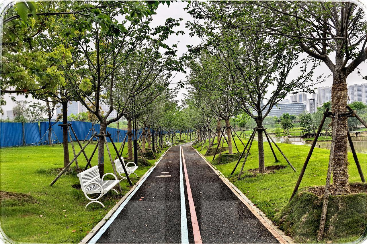 九峰溪公园：绿意中的宝藏秘境
在武汉光谷中心城的东侧边缘，九峰溪公园似明珠悄然镶