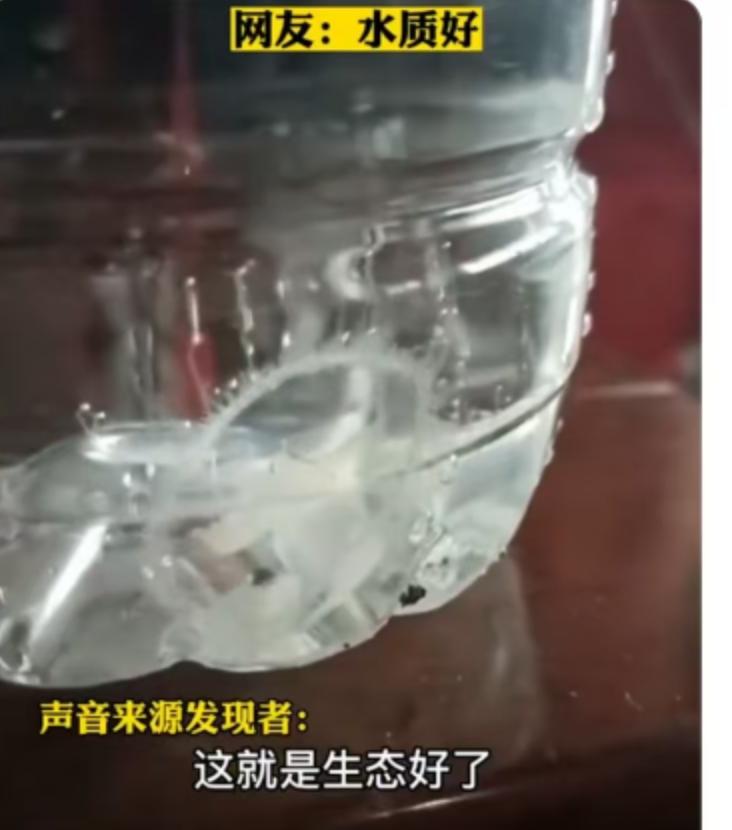 最近，四川达州开江县八庙镇三角寨村成了议论的焦点。当地一位村民在巡查山坪塘时，水