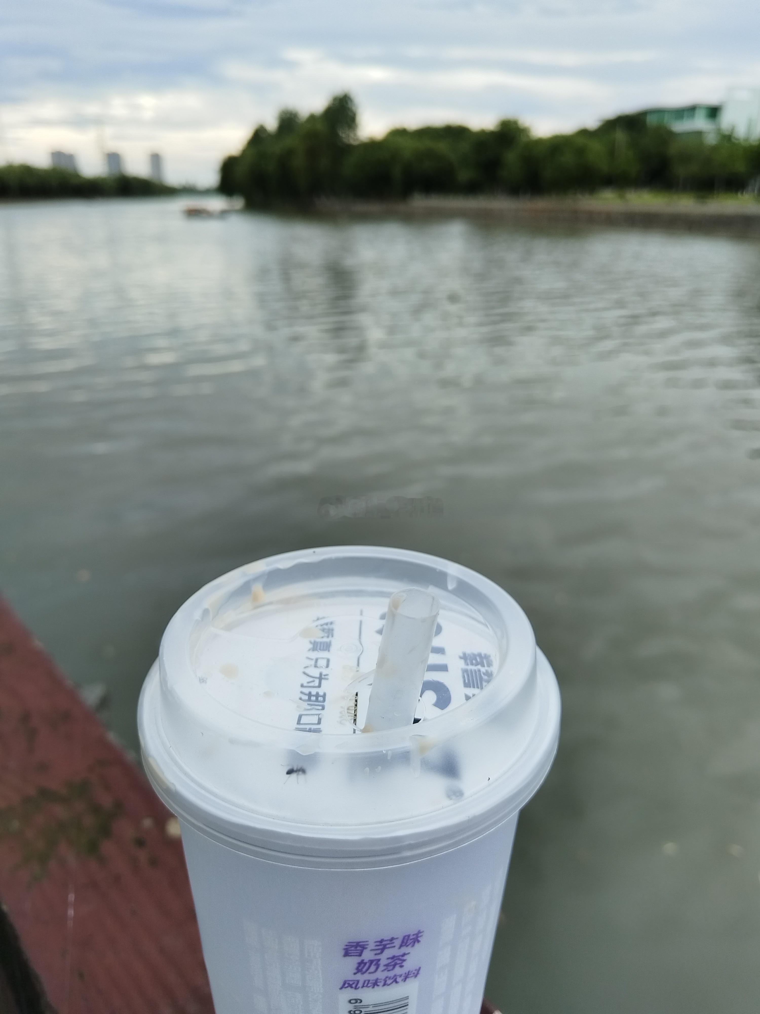 一只贪杯的蚂蚁，被奶茶所吸引，我面无表情，顺手扔进垃圾桶里🎵🎵于是又多了个背