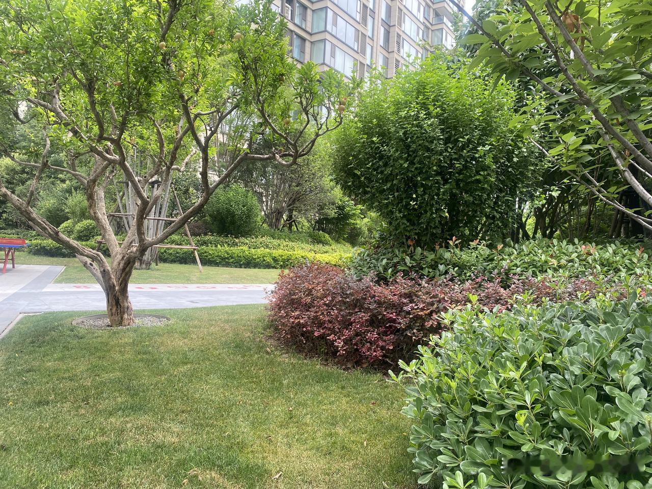真心话茶局绿意盎然的宅区小径，静享悠闲时光。🌳🍃