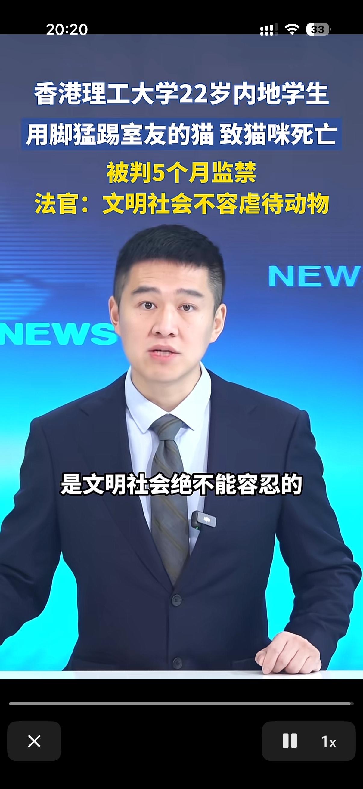 内地一男大学生，因虐待猫咪在香港被判监禁五个月！
这名被告男子在接受审判的时候态