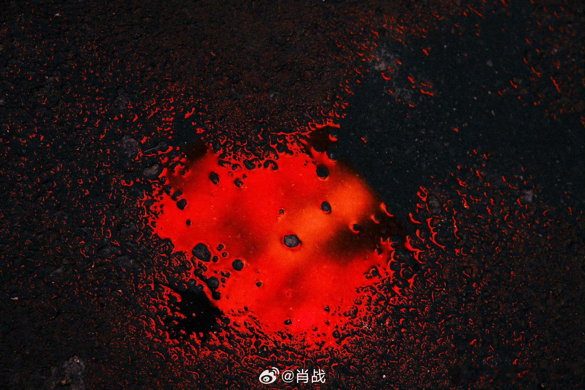 十日终焉剧版肖战齐夏 xz十日终焉原声台词 新周，齐夏，我们下次再见！