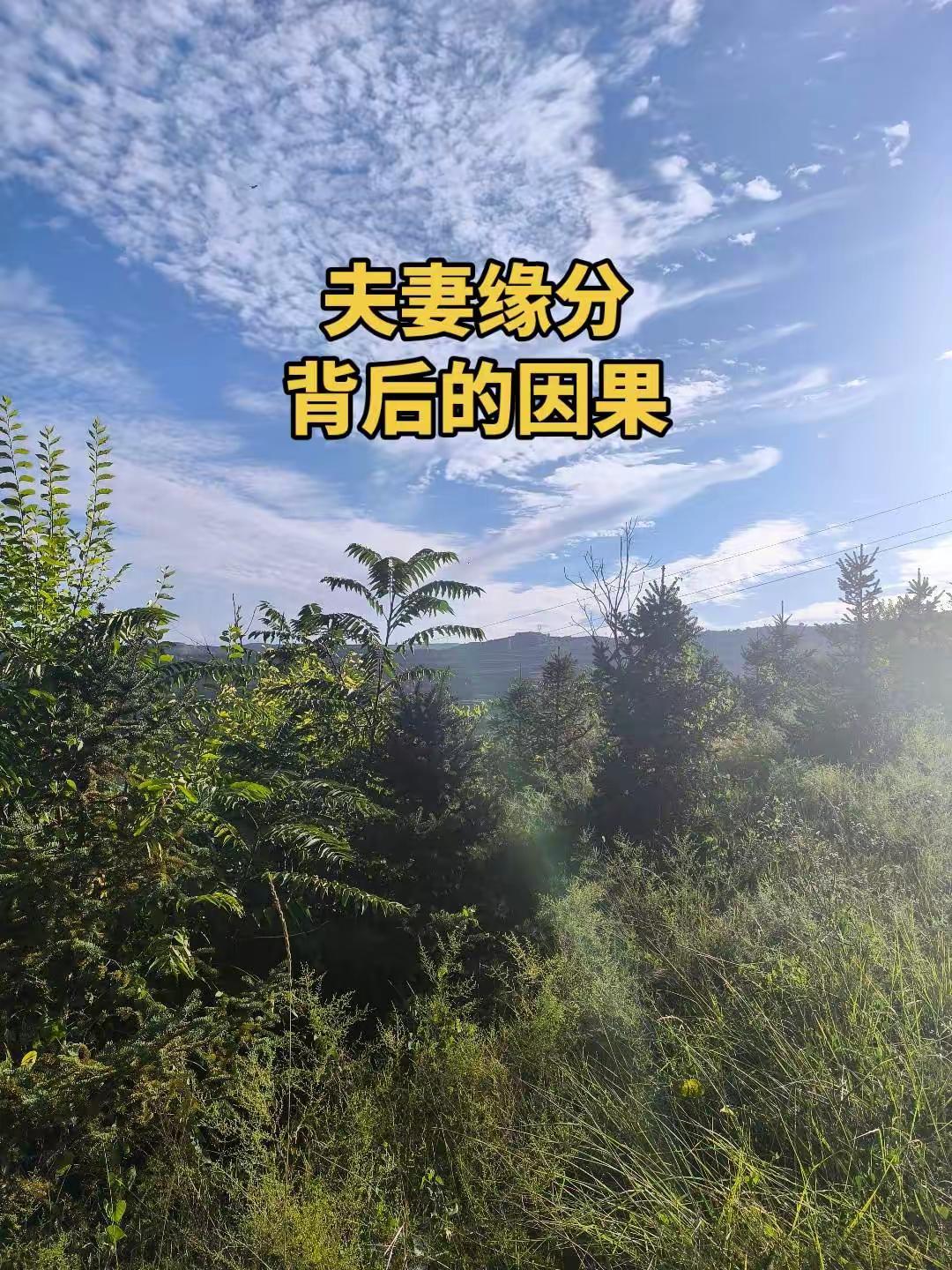 倪师传承文化倪海厦国学文化 山野自然