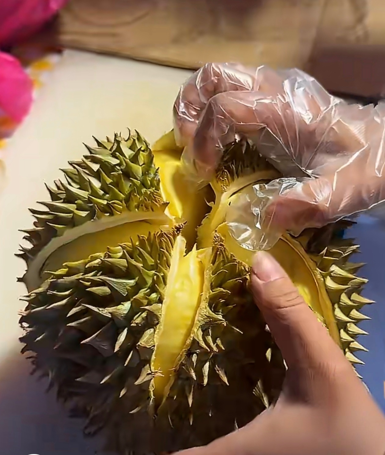 世界上最完美的榴莲出现了夏天最热门的食物莫过于榴莲了吧？以前我一开始是不接受榴莲
