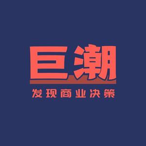 巨潮决策