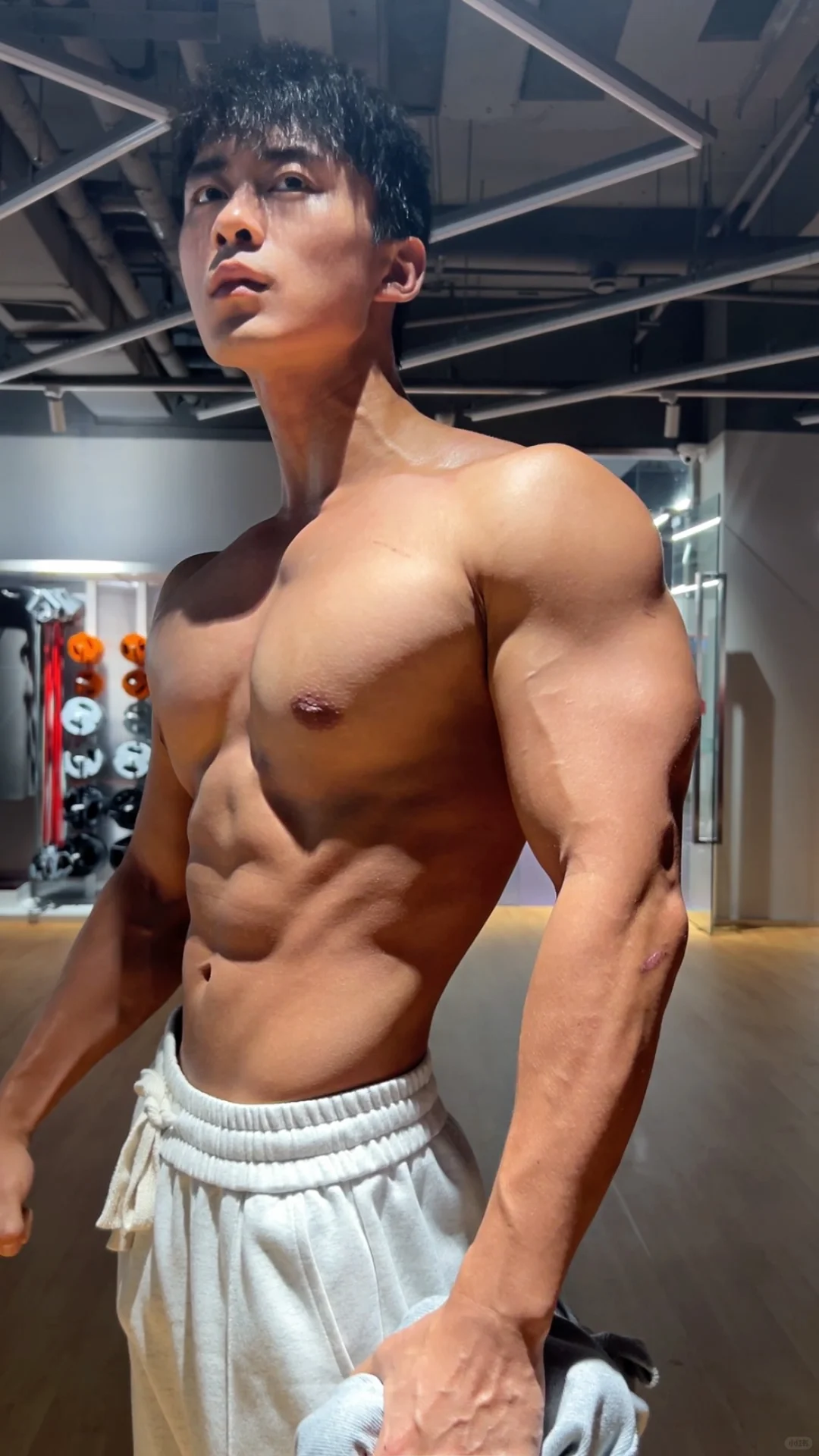 熟悉的我又快回来了