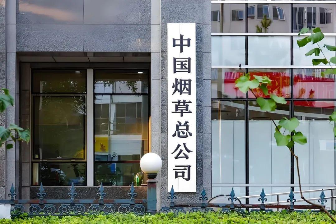 一年贡献1.65万亿的税，但为何国家却突然开始重拳整治烟草行业？
 
2026年
