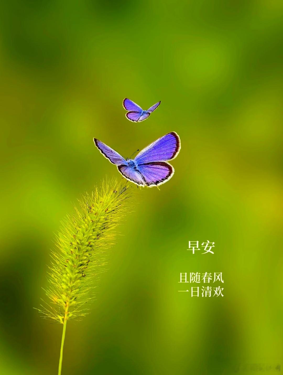 且随春风 留的清欢所有跋涉都会抵达终点一切喧闹终将归于平静随遇而安享受平凡且随春