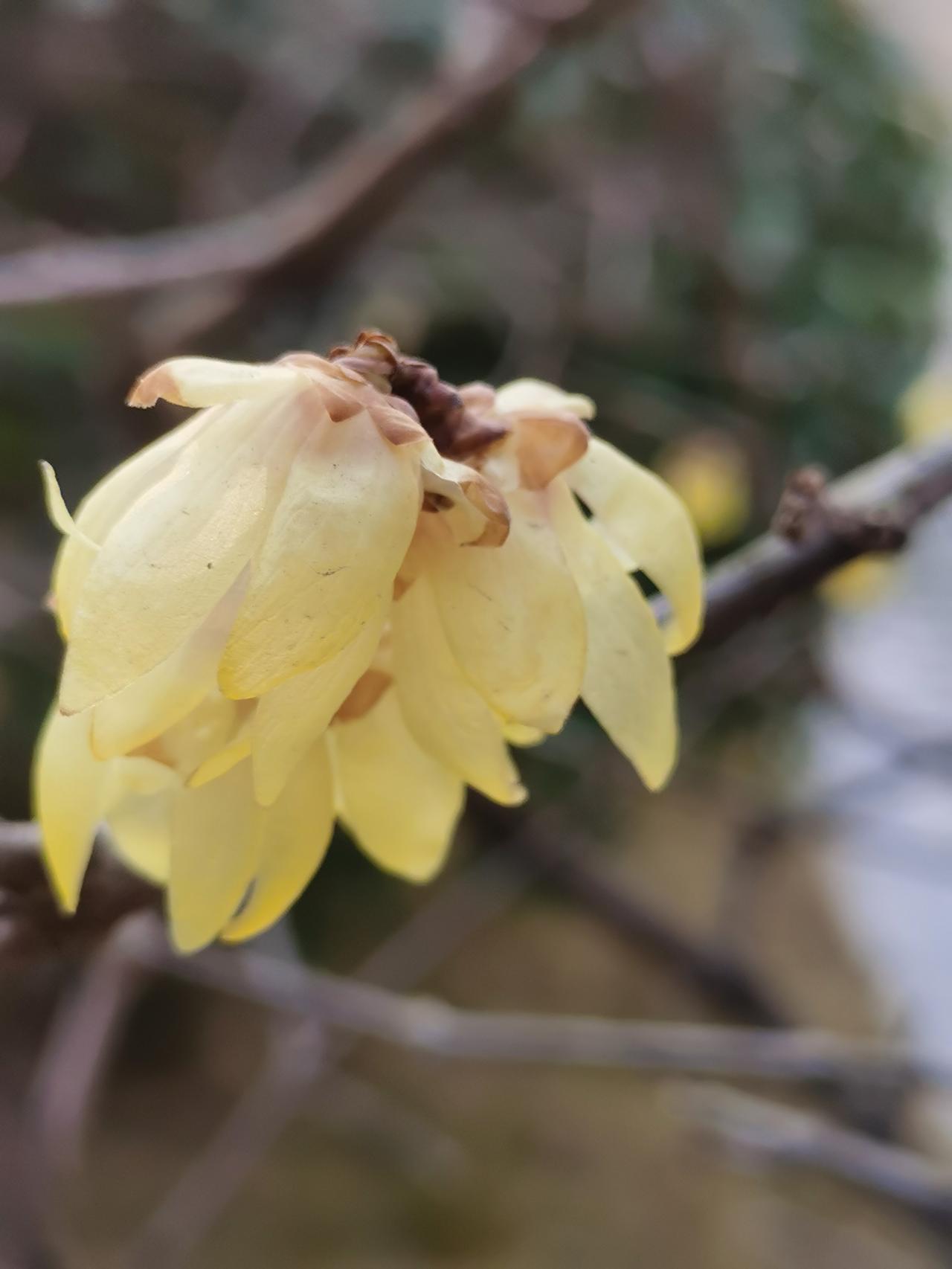 汉中天汉文化公园随手拍