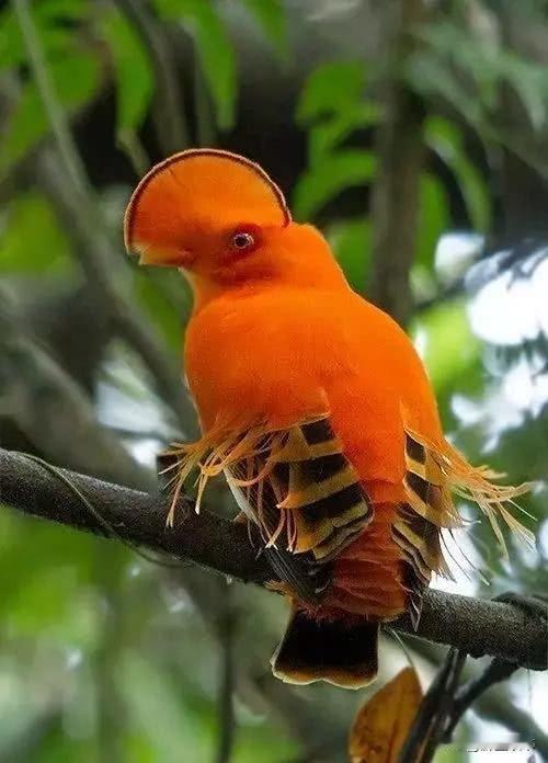 小病小痛，其实是在替你挡灾
 
楼下的王大爷和李大爷，年纪差不多，身体状况却天差