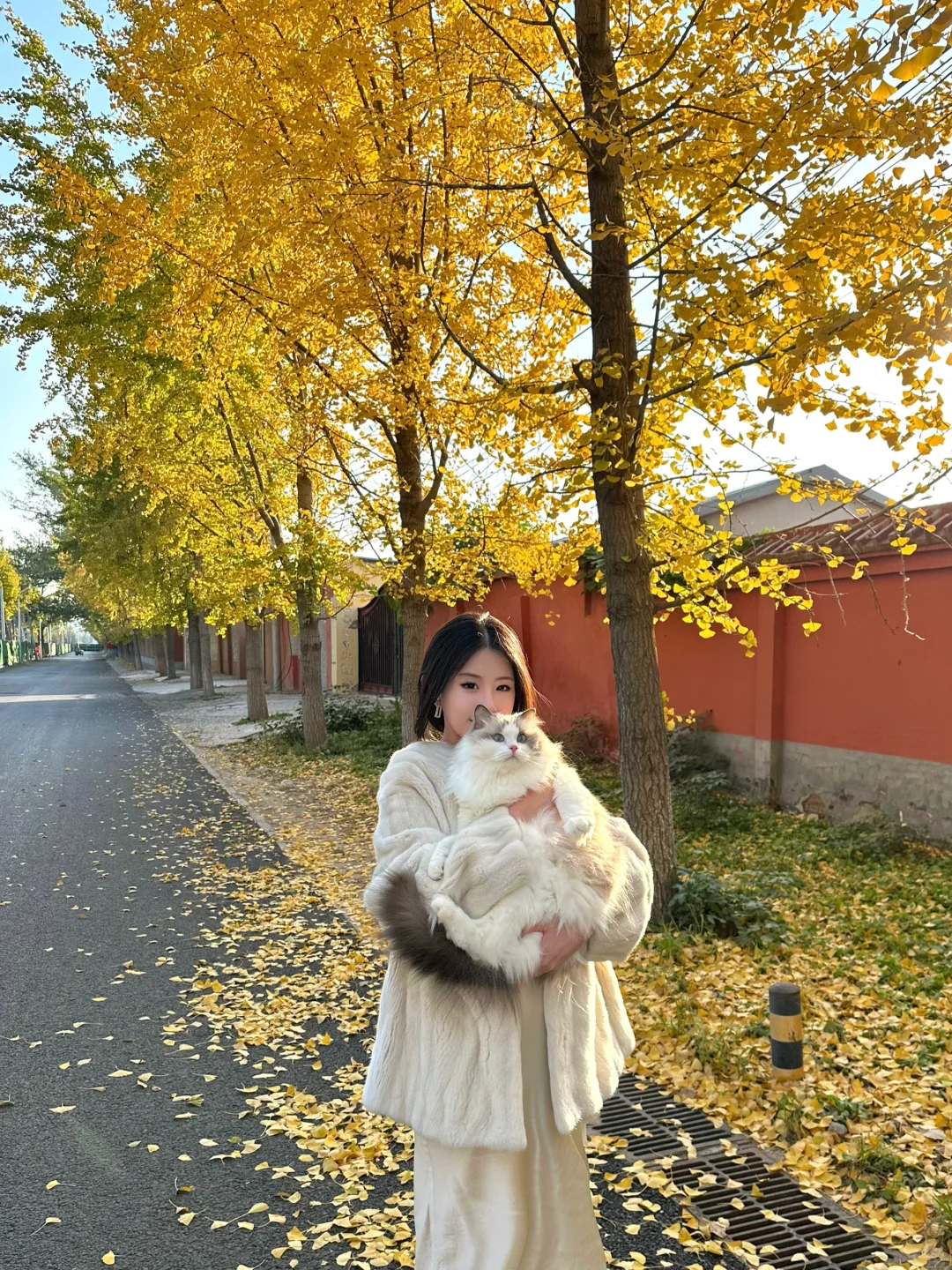 和我的猫🍂