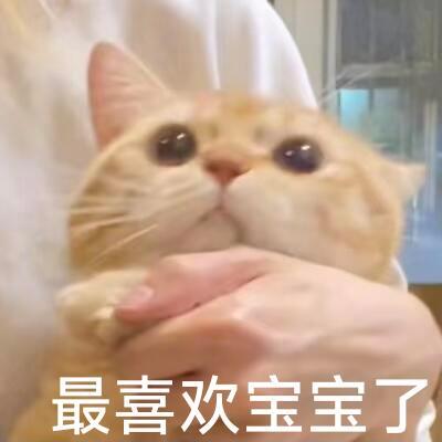 吴宣仪叶星星wxy吴宣仪辛凌 昨天的超喜欢和发帖还有今天的超喜欢底数就是这样了喔