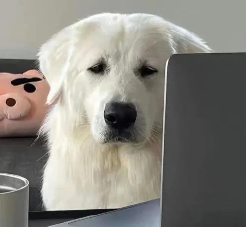 没踩刹车把教练和教练车都撞了
是这样的我验证完学时后，要挂p档再解开安全带的我忘