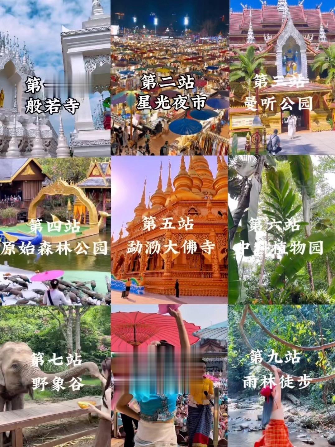 12月淡季的西双版纳平均温度24度。不要太舒服了，我本无意入雨林，奈何...