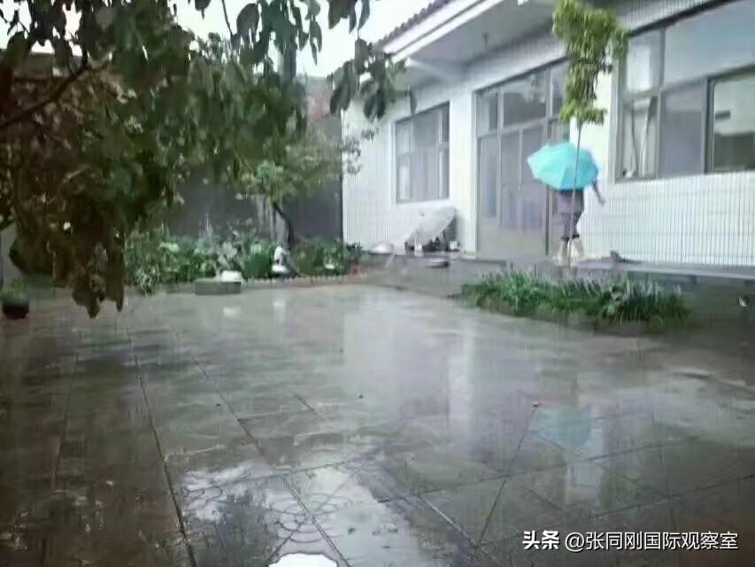 寒雨飘落风劲吹，天色阴暗无行人。
却问此风吹何处，茵春独寒杨柳镇。
