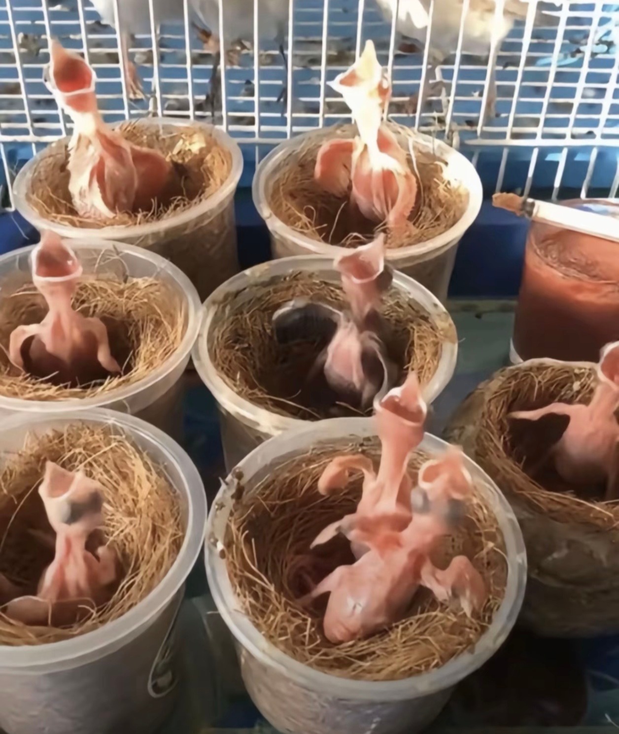 才看见小纸条，在哥心里现在的我们👇 