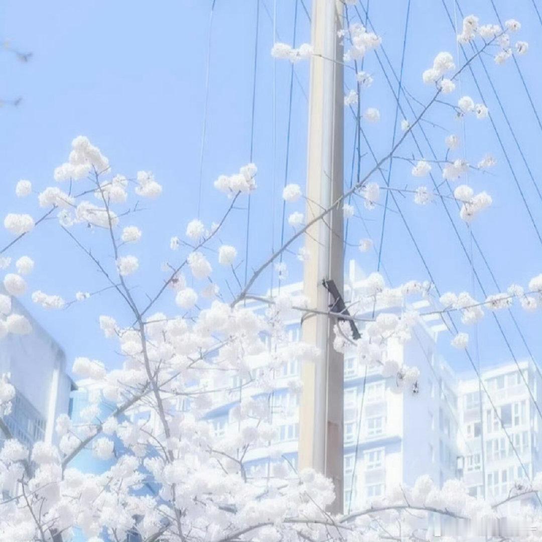 ★ﾟ☆ 함께 만든 추억 ☆ﾟ★                        