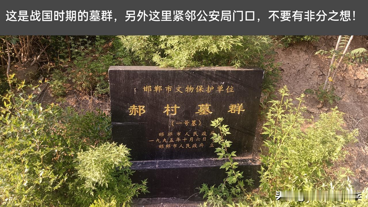 邯郸市四环以内最高处！邯郸市复兴区战国时期古墓——郝村墓群，这里应该是邯郸市区以