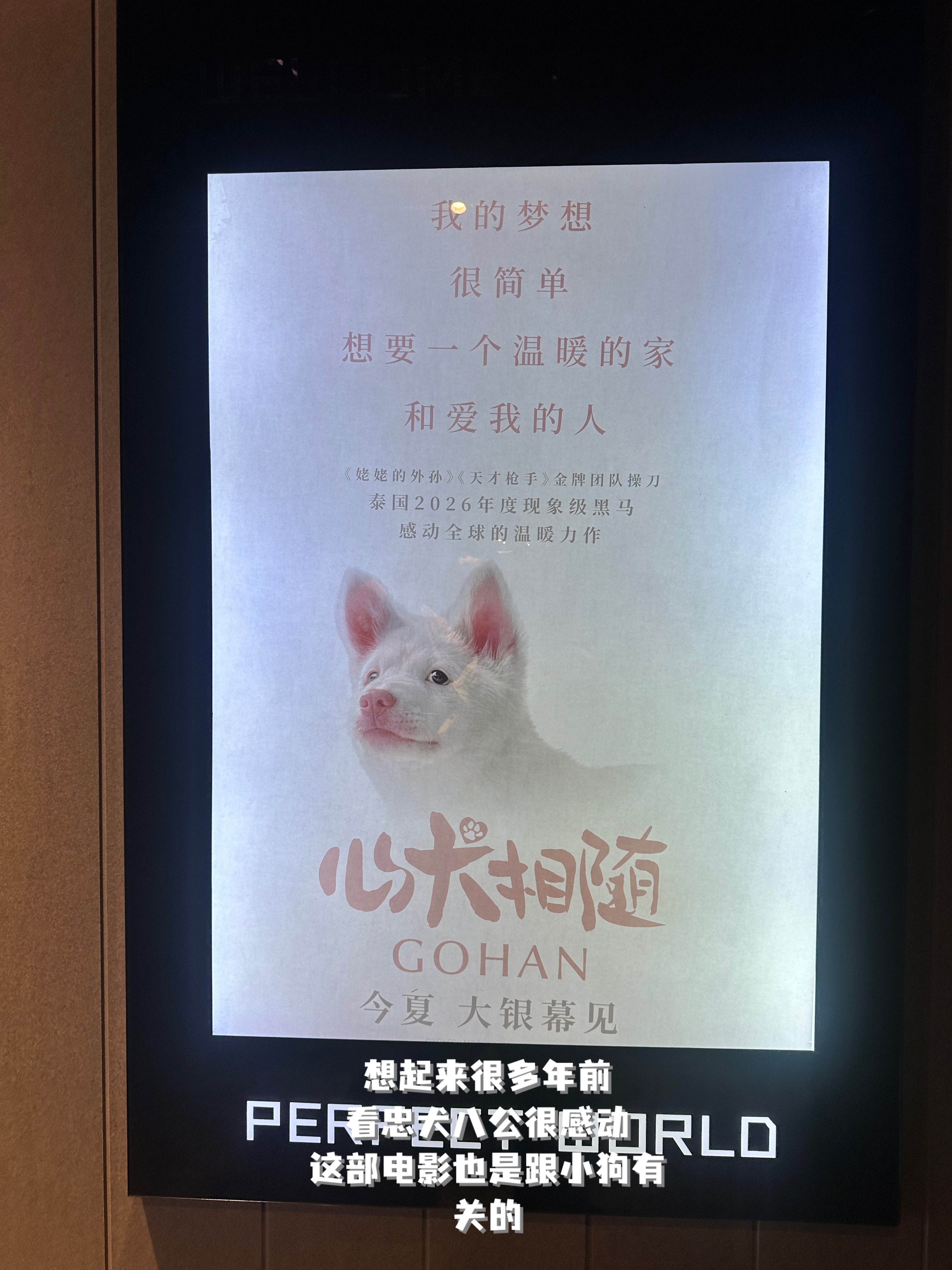 养成记录饮食的习惯后，每天吃的东西少了！ 