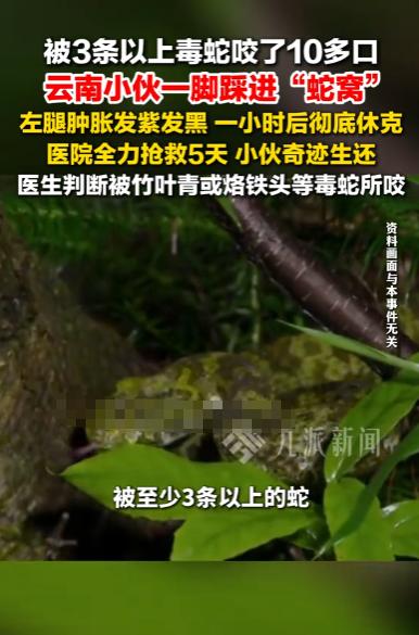 云南保山，一26岁小伙在滇西边境山区徒步前往工地时，不慎一脚踩进了杂草丛中的蛇窝