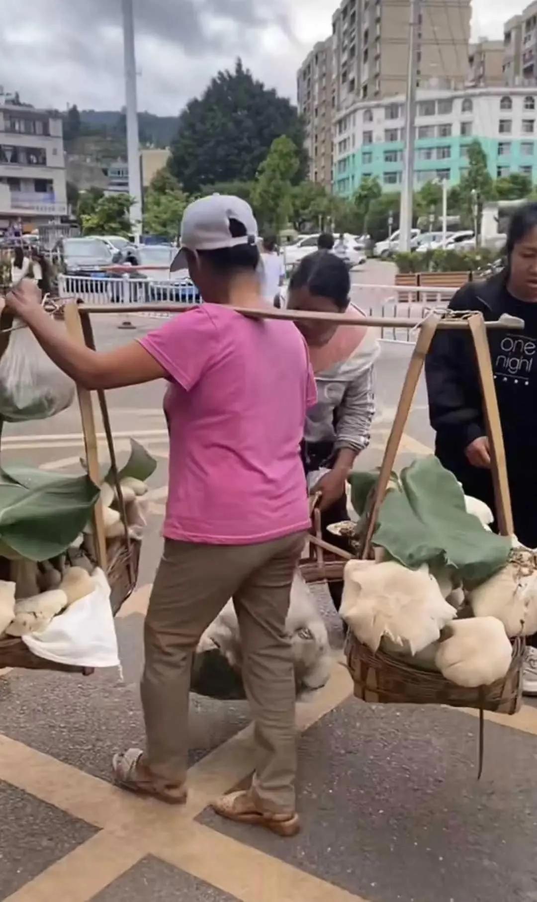 上次去云南某地，刚好看到一位农村大姐挑着一担菇来街头叫卖。

当时就感觉很惊奇，