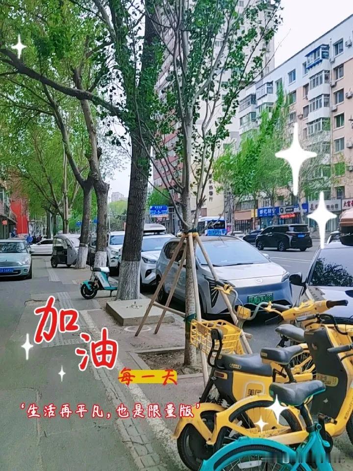 晒出你的本地生活