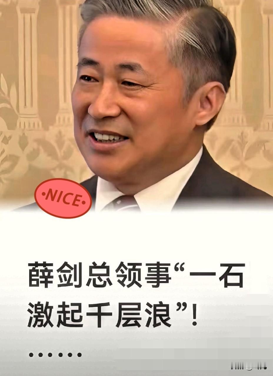 “斩首”说越闹越大，

薛剑总领事硬气发声后，

陈卫华的锐评更戳破了美日关系的