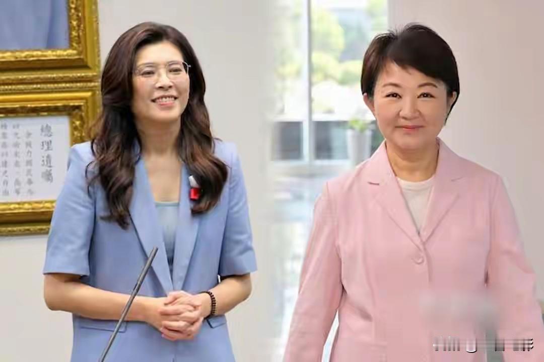 距国民党7月25日全代会只剩两周，一份由党代表提出的提案，正把矛头直接对准党主席