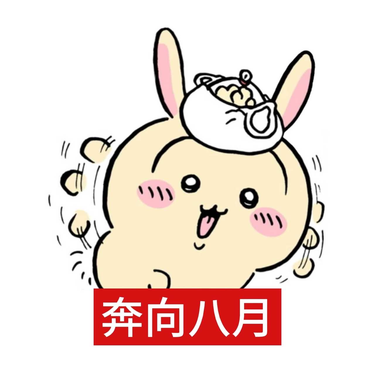 经典栏目之奔向八月🐇🐈 