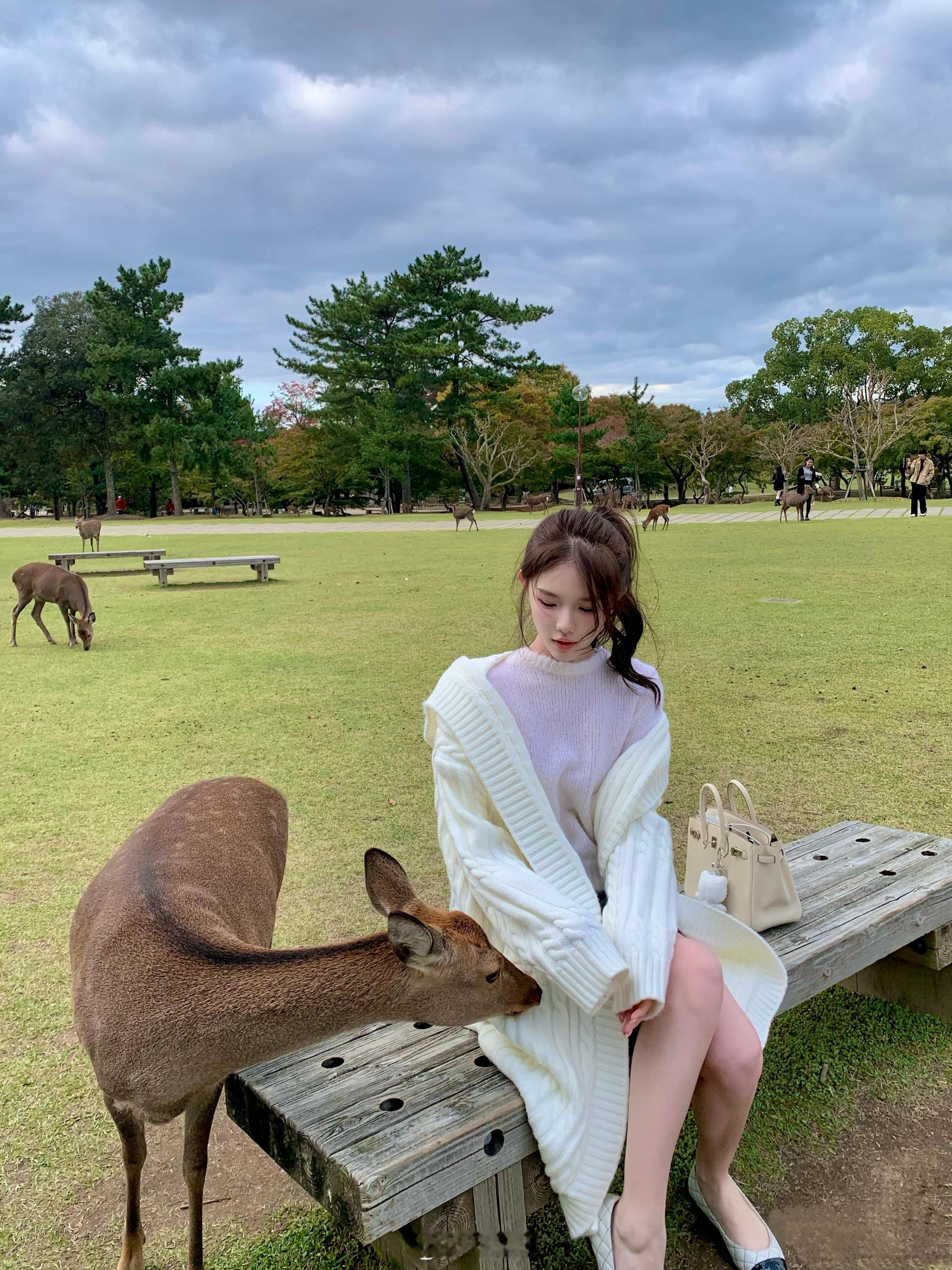 🦌 