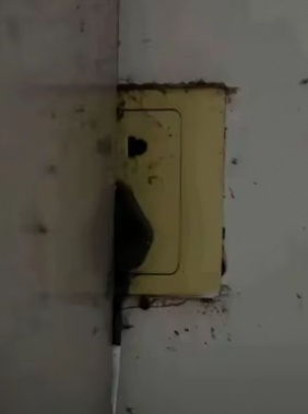 王楚钦说打球环境不纯粹那么这个不纯粹的环境是谁造成的呢？又是谁开创流量明星模式运