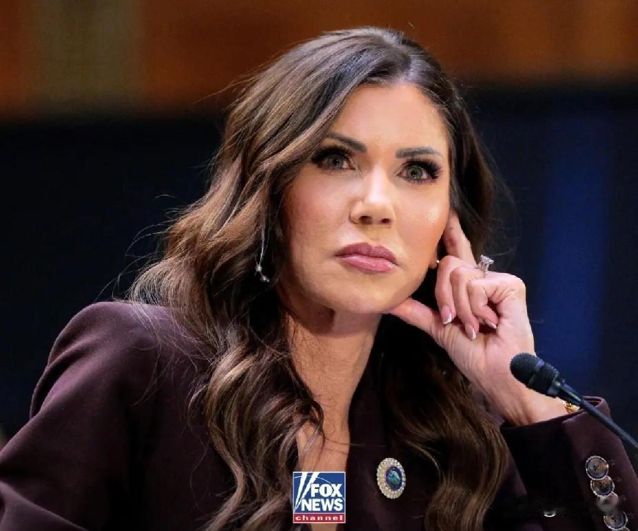 国会民主党高层正敦促司法部对前国土安全部部长克里斯蒂·诺姆提起刑事指控，指控她在