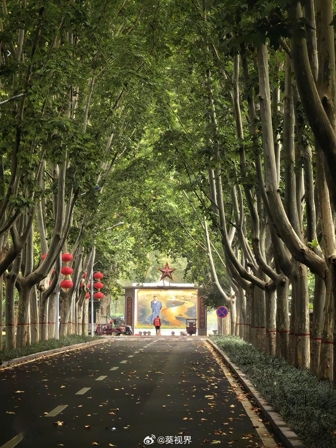 开封兰考的为民公园，这条路真美。 ​​​