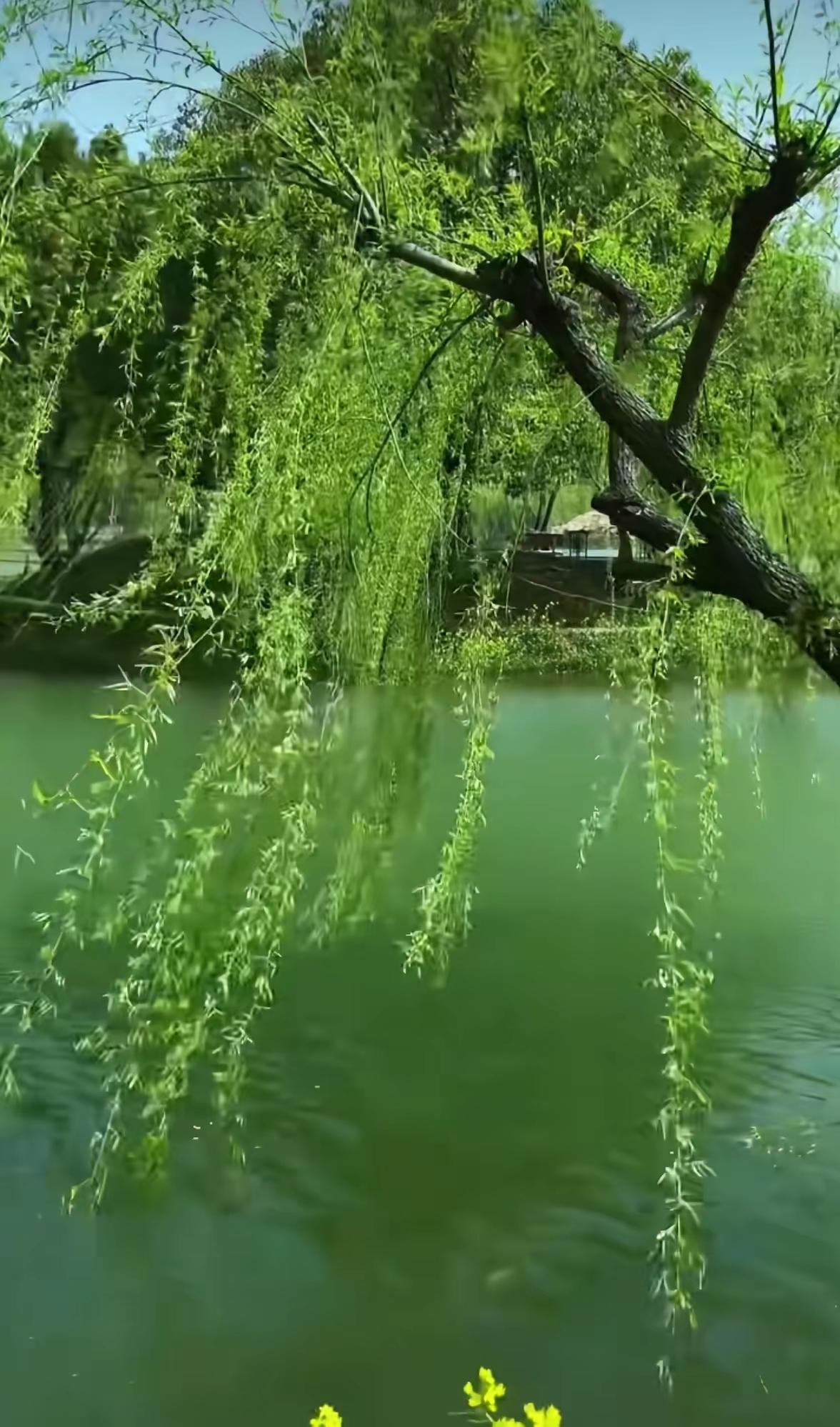 恭王府古今
 
一府藏清史，朱门阅浮沉。
权倾金阶上，祸起寸心深。
福字空留墨，