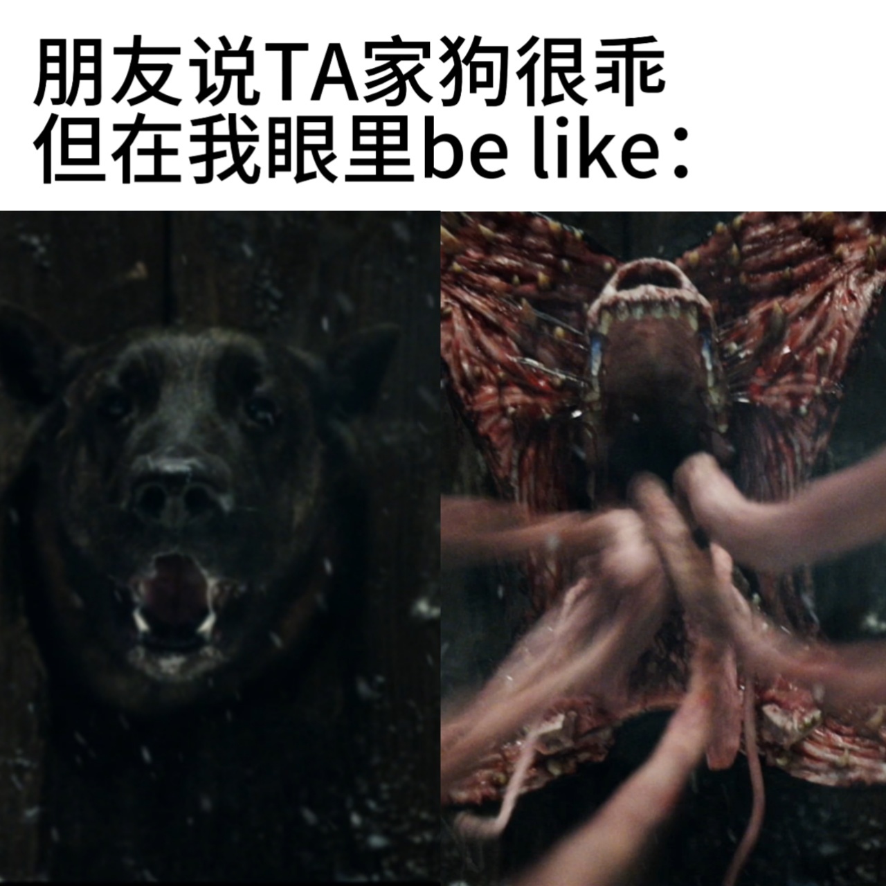生化危机爆发夜内地版画面处理 真的很知足！《生化危机：爆发夜》内地版改动很克制，