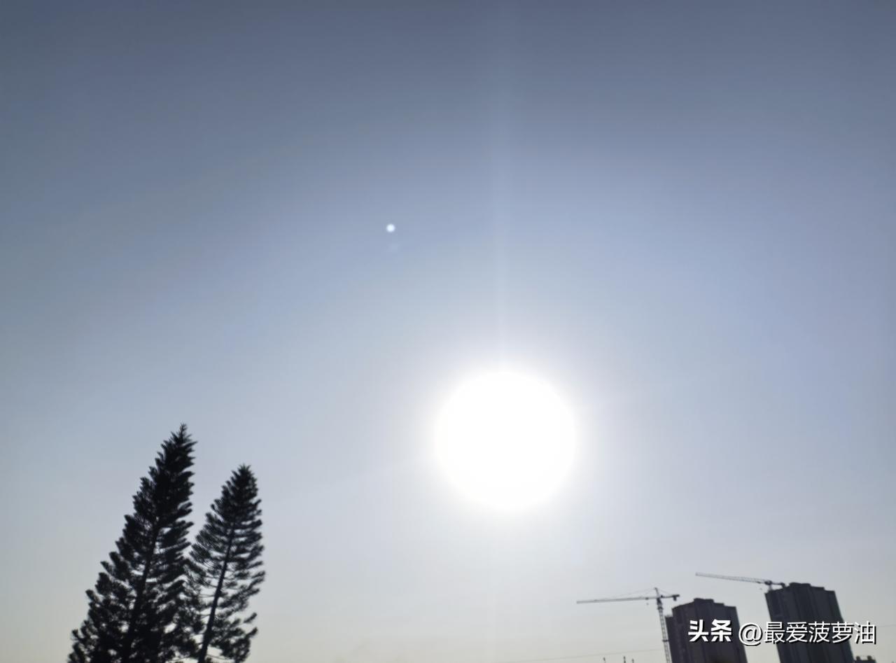 周末遇上女神节，广东人喜提一波晴暖好春光！

今天（8日），广东全省大部晴到多云