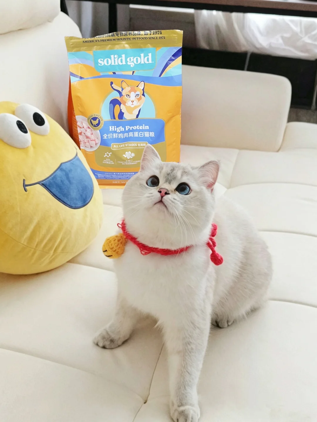 这次我一定要提现！（小猫减肥版