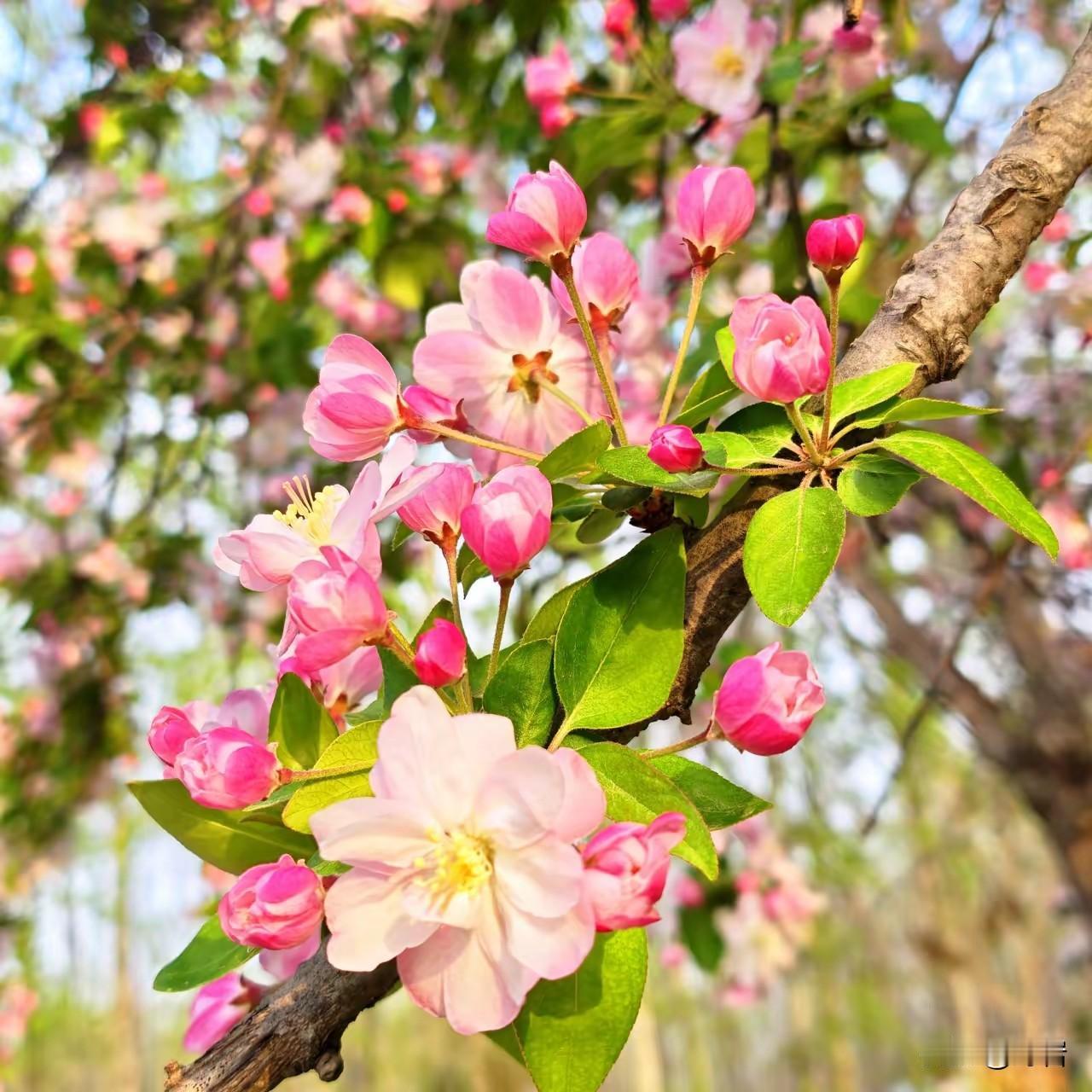 优秀男人必备素质
 
1. 有担当
遇事不逃避、不甩锅，对家庭、工作、言行负责，