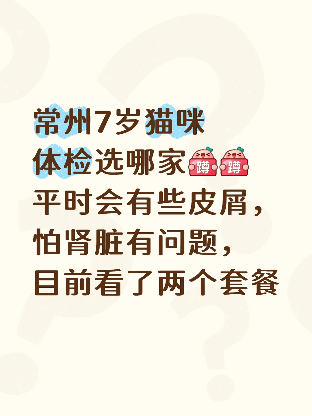 常州中老年猫咪体检求推