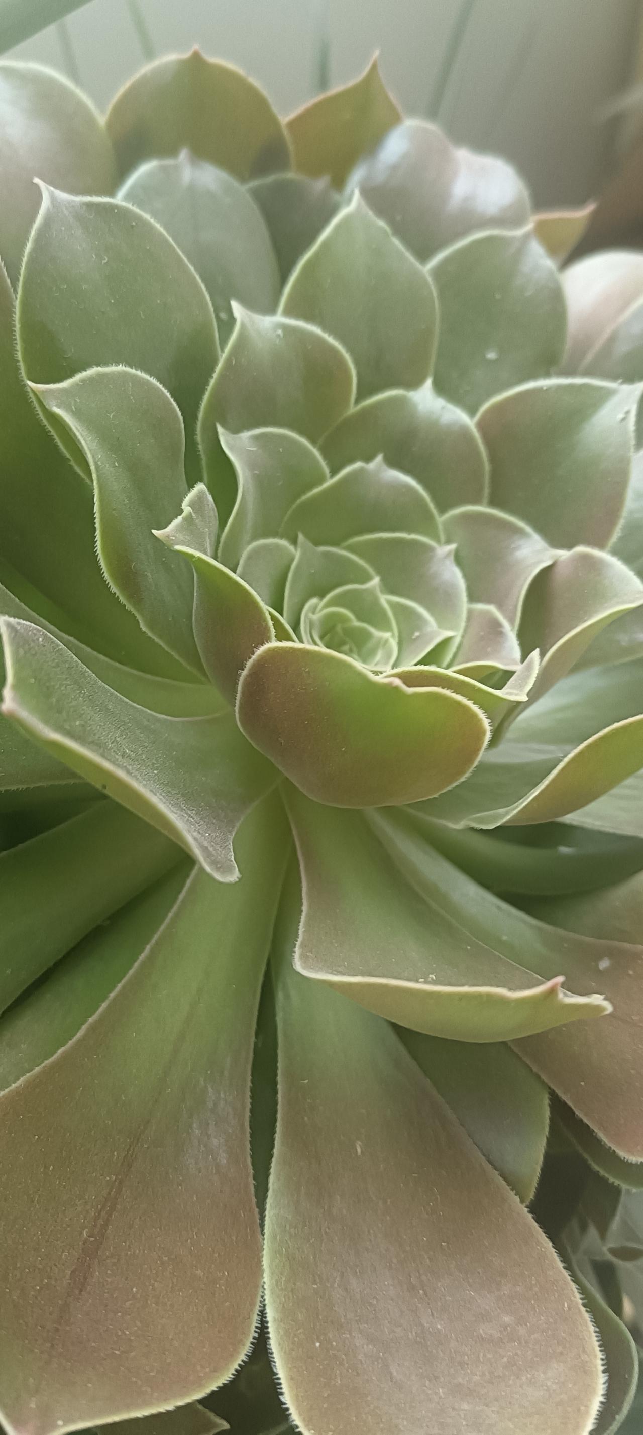 陪孩子重要，还是赚钱重要？
到底是陪孩子重要，
还是赚钱重要呢？
古人言，负米谋