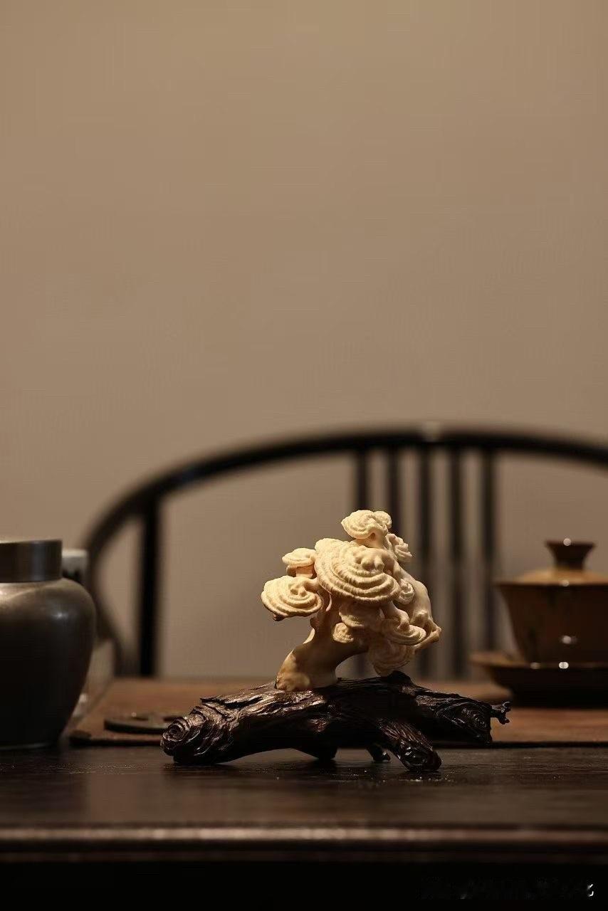 灵芝入雕，古意自成。

猛犸精工雕灵芝，层层云纹细腻舒展，天然肌理与刀痕相映，既