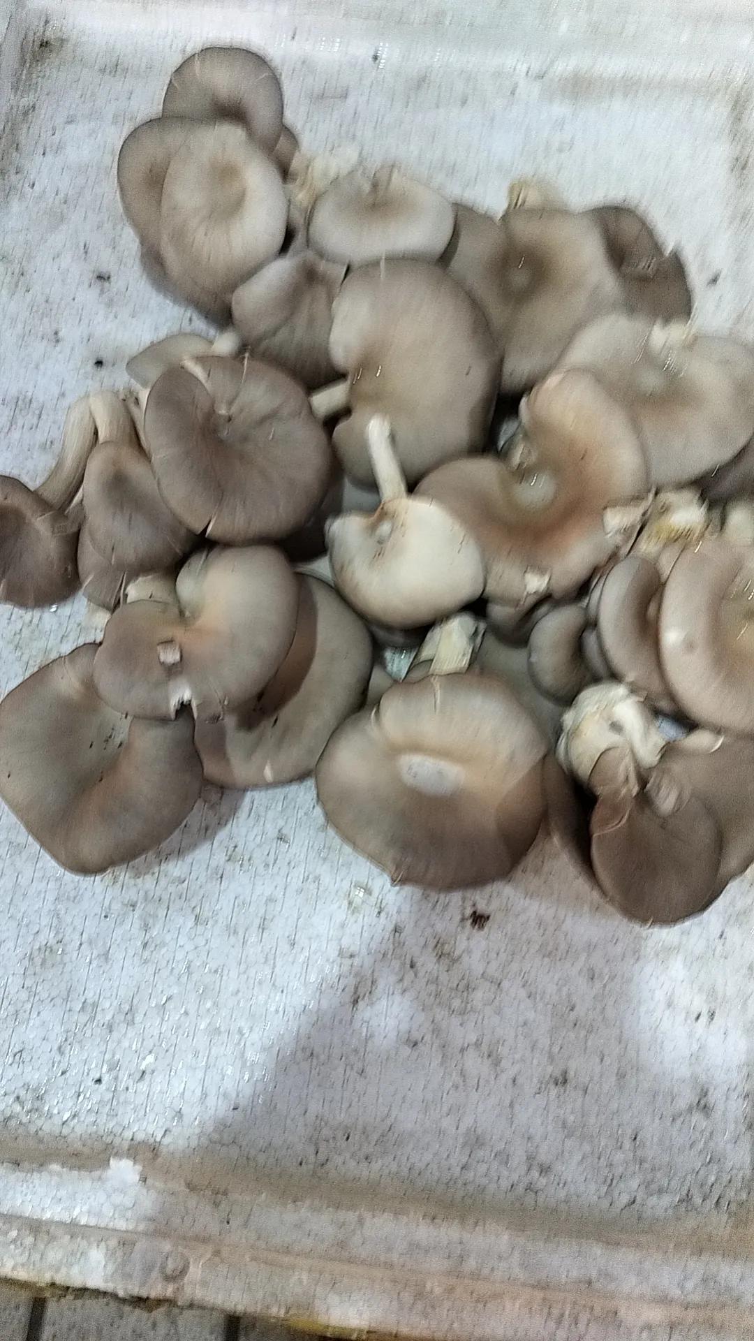 今日美食打卡吃