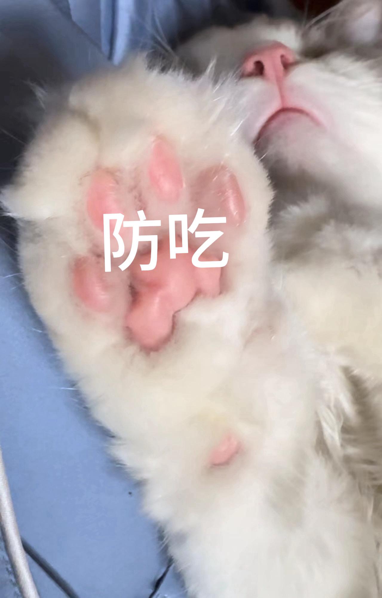 杂口杂口