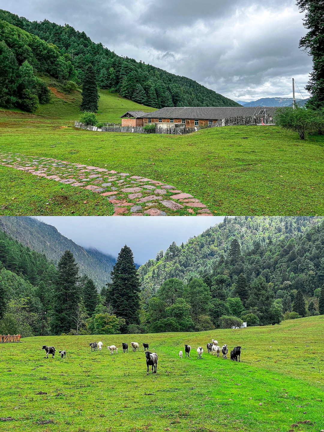云南自驾｜大理周边古村，进入罗古箐村寨路况