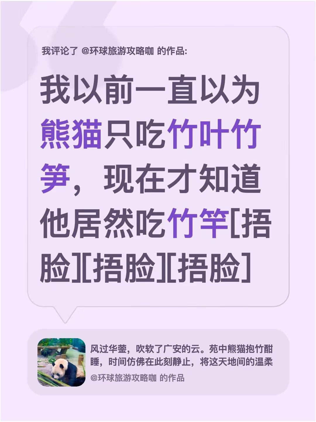 我评论了@环球旅游攻略咖 的作品：我以前一直以为熊猫只吃竹叶竹笋，现在才知道他居