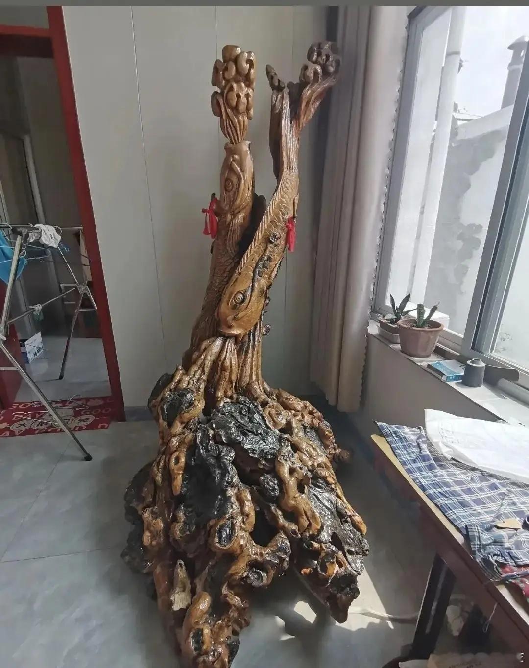 一个废弃树根从此有了生命 