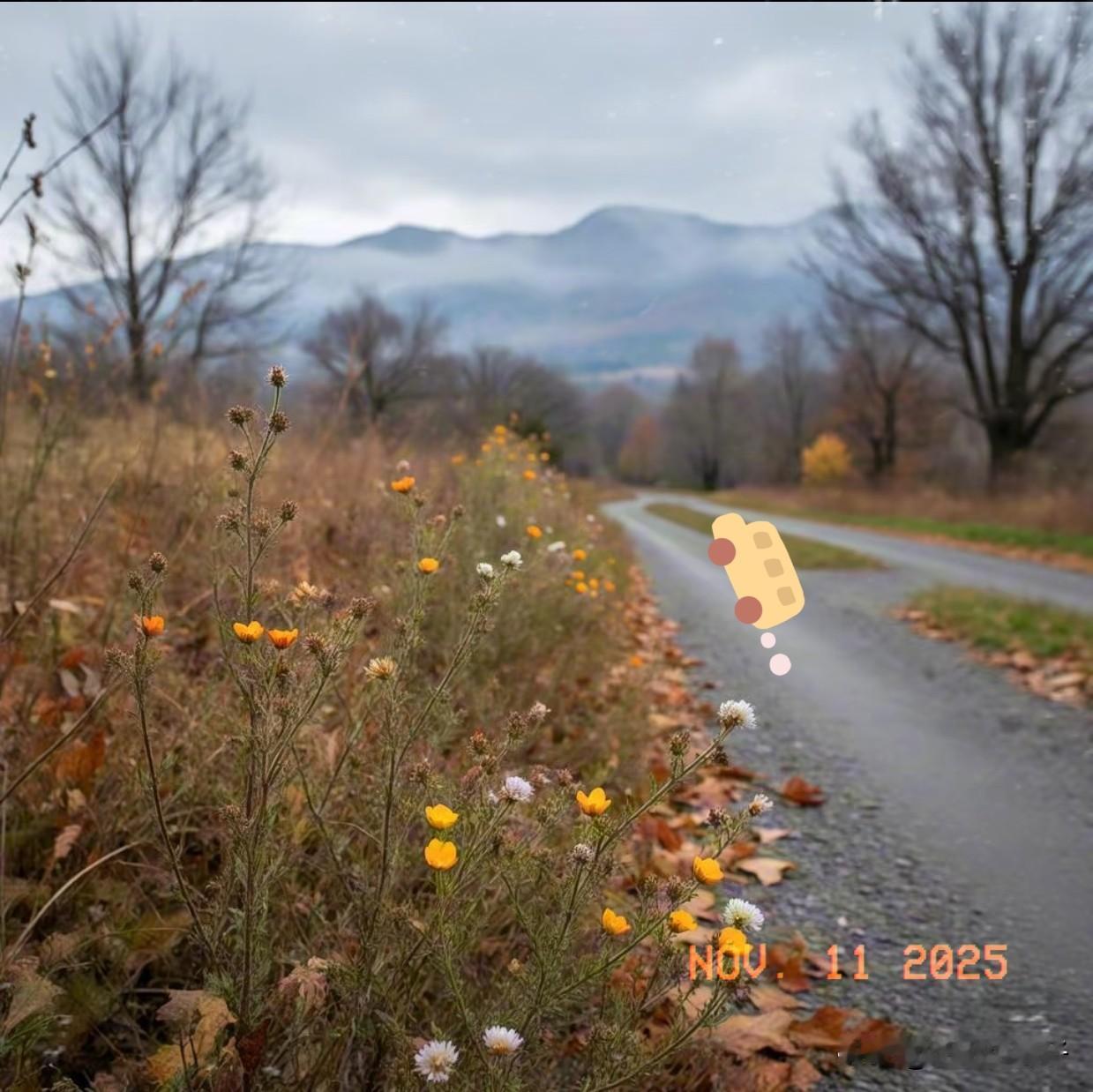 是热乎气儿给的
 
下班路上裹紧围巾，冷风还是往衣领里钻，心里就惦记着家里那口热
