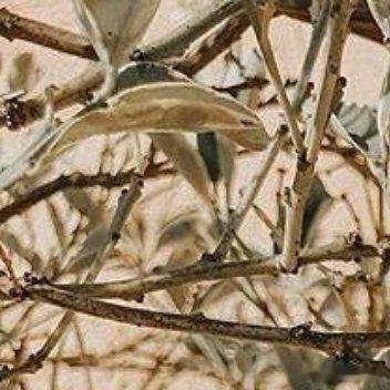 元气少女出现啦💛ིྀ开心是藏不住的和姐妹周末的小小星球 