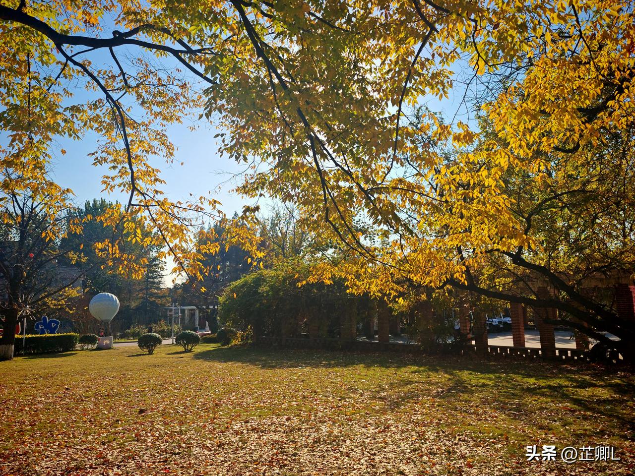 “我秤不准，但你也没问啊！”惠州一女摊主缺斤少两竟如此“坦诚”。网友：我付假钞行